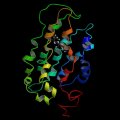 Rhodopsin.jpg